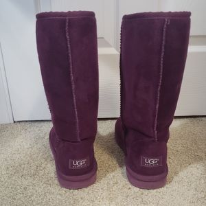 Purple Ugg Boots
